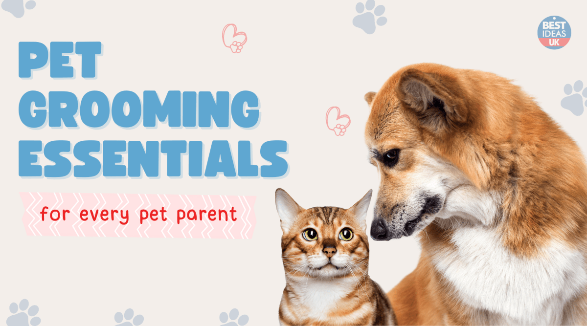'Must Have' Pet Care Items For Dog Lovers and Cat Parents - Best Ideas UK
