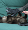 PetPal - Silicone Pet Grooming Glove - Best Ideas UK