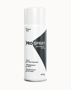Pro - Spray Radiator Paint - Best Ideas UK
