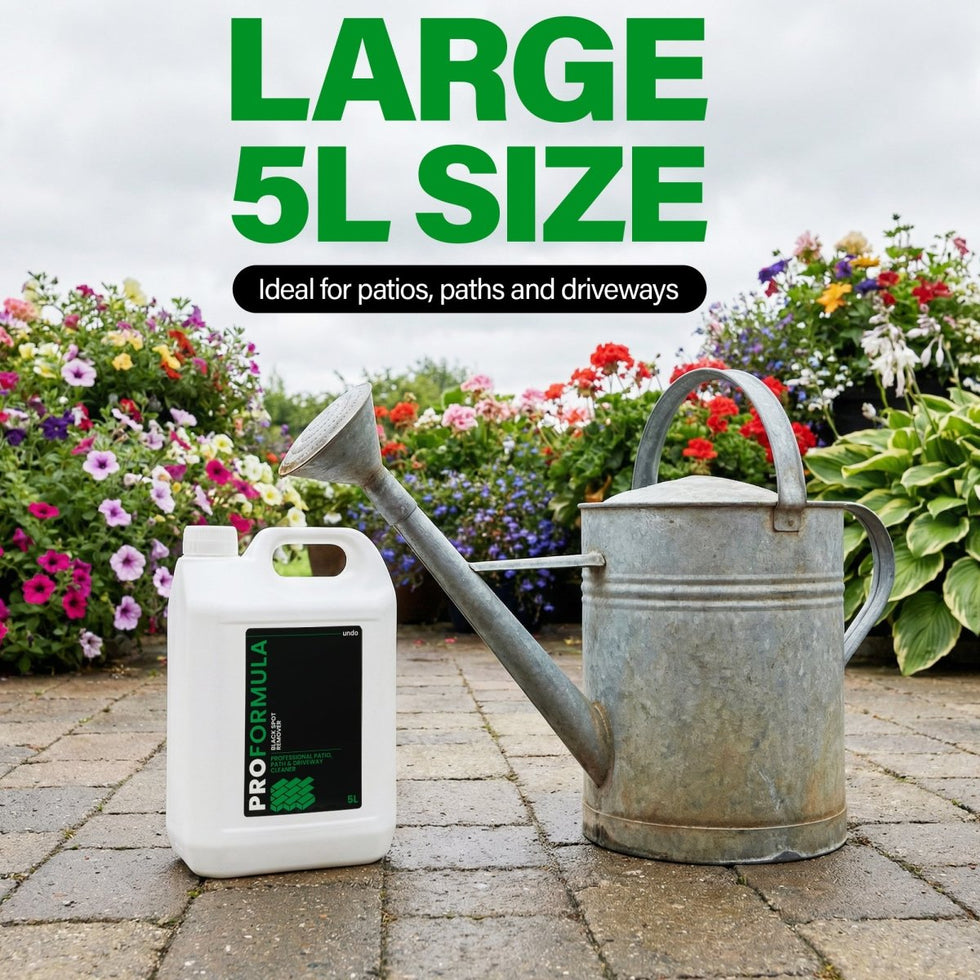 PROFORMULA Black Spot Remover | Effective and practical way to maintain outdoor spaces without the need for pressure washing.