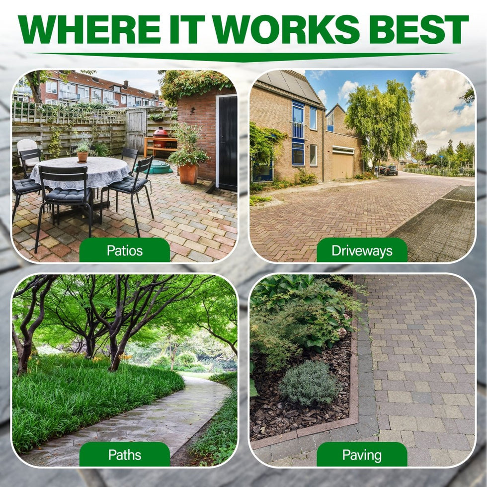 PROFORMULA Black Spot Remover | Works on patios, paths, paving, driveways, and other outdoor hard surfaces.