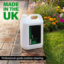 PROFORMULA Black Spot Remover – Patio, Path & Driveway Cleaner (5L) - Best Ideas UK