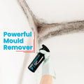 Proformula - Mould Magic Extreme Remover Gel Spray - Best Ideas UK