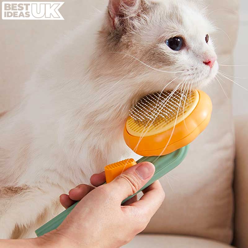 BrushBuddy - Pet Grooming Brush - Best Ideas UK