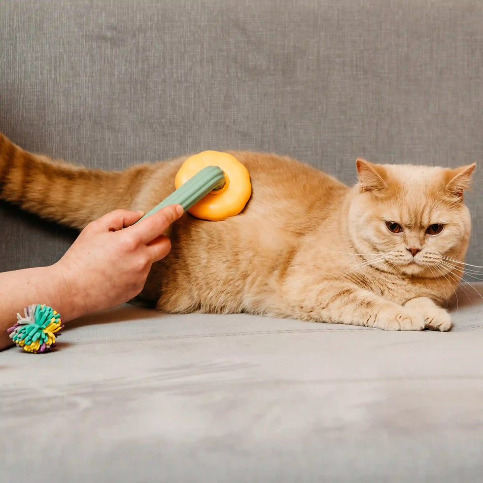 BrushBuddy - Pet Grooming Brush - Best Ideas UK