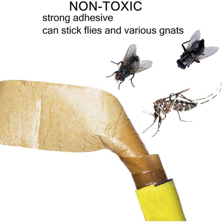 FlyGuard: Insect Intercept Strips | Your Ultimate Fly & Insect Solution - Best Ideas UK