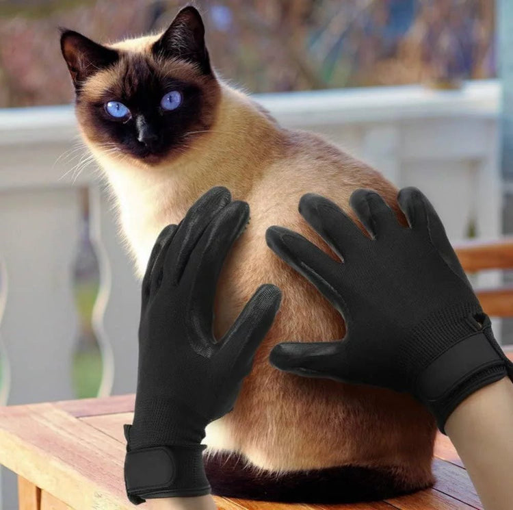 PetPal Silicone Pet Grooming Glove Best Ideas UK