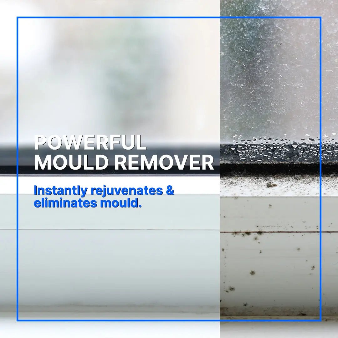 Proformula - Mould Remover Gel Spray - Best Ideas UK